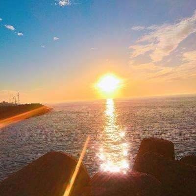 leyu乐鱼·体育手机app下载