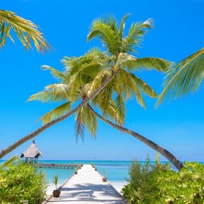 2023澳门管家婆资料正版大全手机app下载