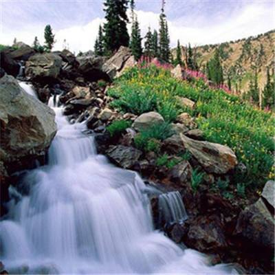 万博·体育-登录入口