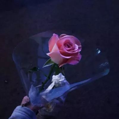 ag真人国际官网