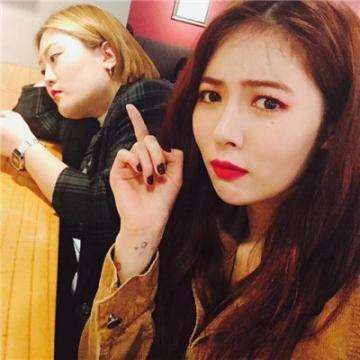 IM体育官网登录入口截图